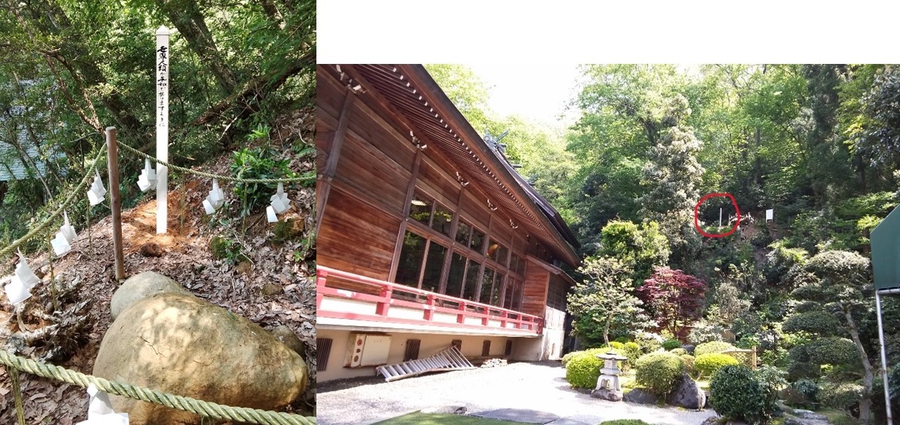 みなさんからのお知らせ | May Peace Prevail On Earth International